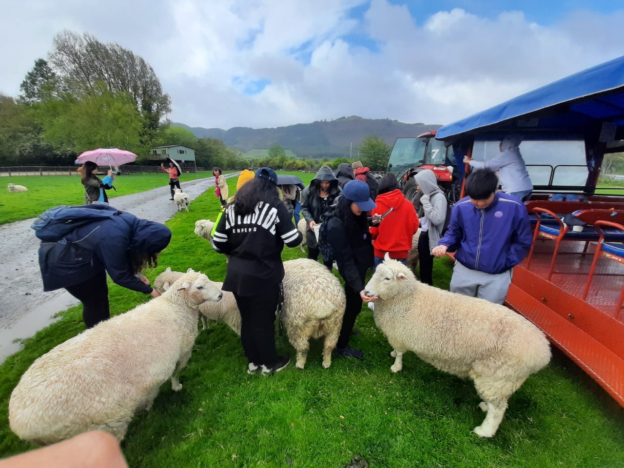 New Zealand Camp 2019